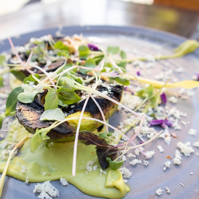 Grilled Avocado on plate with herbs